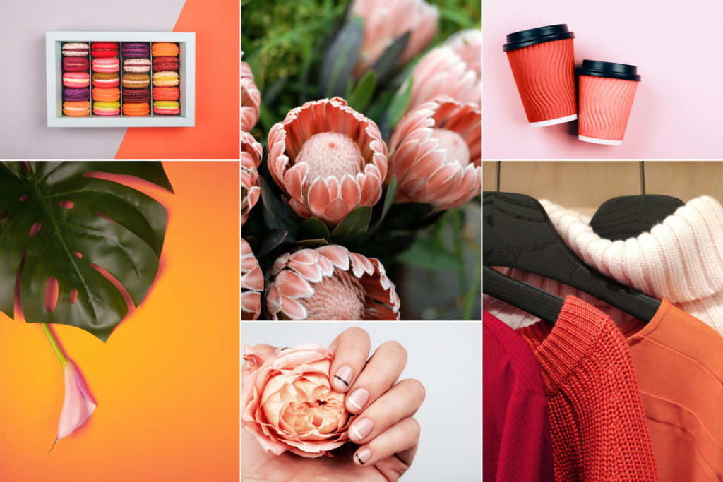 Creative collage inspired by Living Coral - Color of the Year 2019.