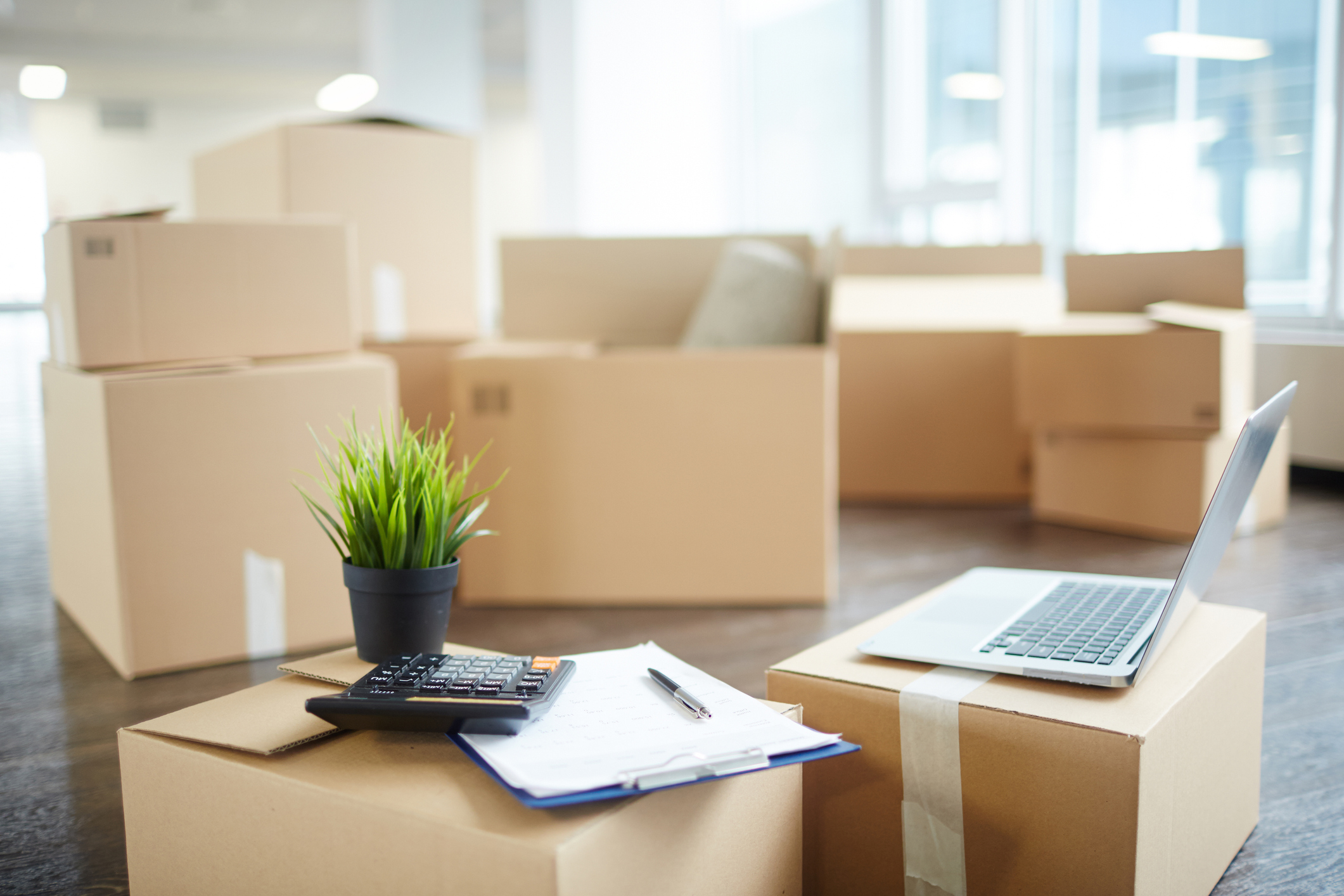 Several unpacked carton boxes with office supplies, laptop, papers, calculator and green plant in flowerpot on top of packages