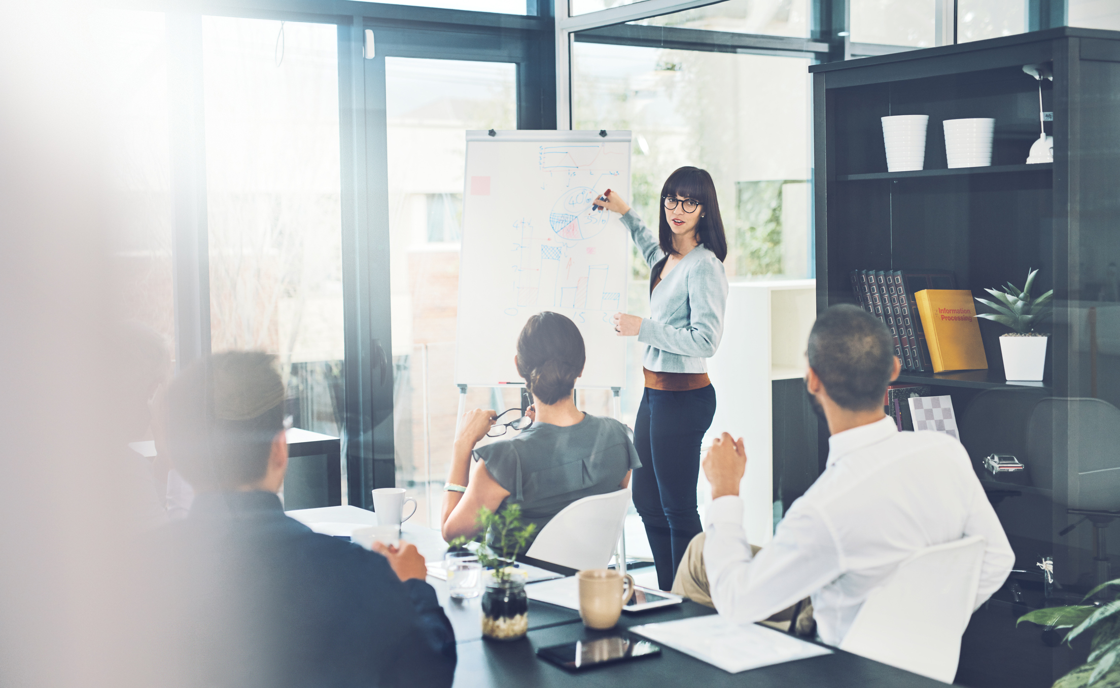 Shot of a group of corporate businesspeople meeting in the boardroom